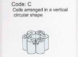 Code C: cells arranged in a vertical singular shape